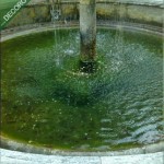 La fontana. Alcuni faretti sono rotti da anni.